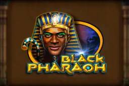 Black Pharaoh by CT Gaming