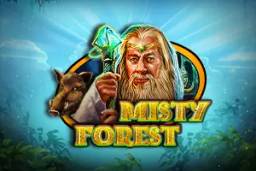 Misty Forest by CT Gaming