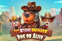 The Dog House Dog or Alive by Pragmatic Play