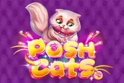 Posh Cats by Platipus