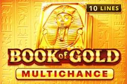 Book of Gold Multichance by Playson