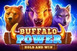 Buffalo Power Hold and Win by Playson