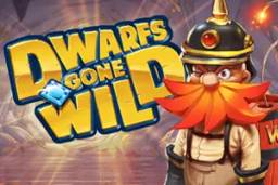 Dwarfs Gone Wild by Quickspin