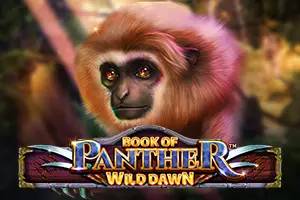 Book of Panther Wild Dawn by Spinomenal