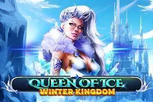Queen Of Ice Winter Kingdom by Spinomenal