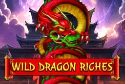 Wild Dragon Riches by Spinomenal