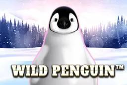 Wild Penguin by Spinomenal