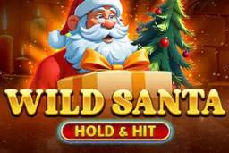 Wild Santa Hold and Hit by Spinomenal