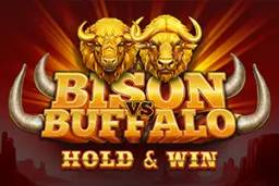 Bison vs Buffalo by TomHorn
